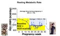 Tracking-pregnancy-and-baby-growth.jpg