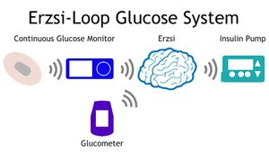 Focusing-on-life-with-an-opensource-artificial-pancreas.jpg