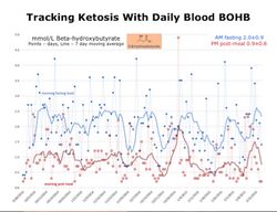 The-effects-of-a-year-in-ketosis.jpg