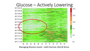 Tracking-glucose-as-a-person-without-diabetes.jpg