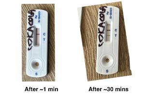 A rapid, antigen COVID test that was loaded only with Coke Zero. Initially only the control line appears, but after a while the test line appears too.