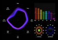 Quantified-brain-and-music-for-selftuning.png